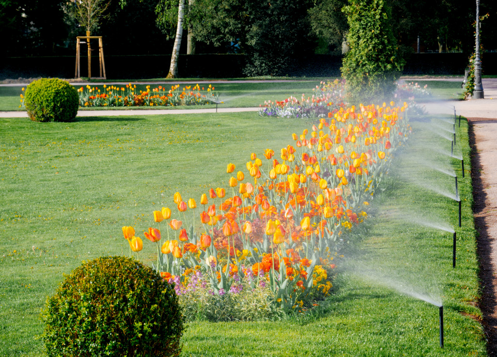 garden with irrigation