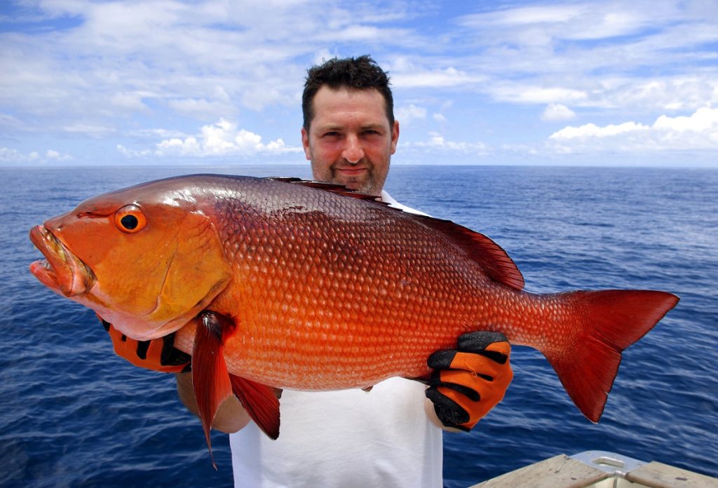 fisherman holding a red snapper